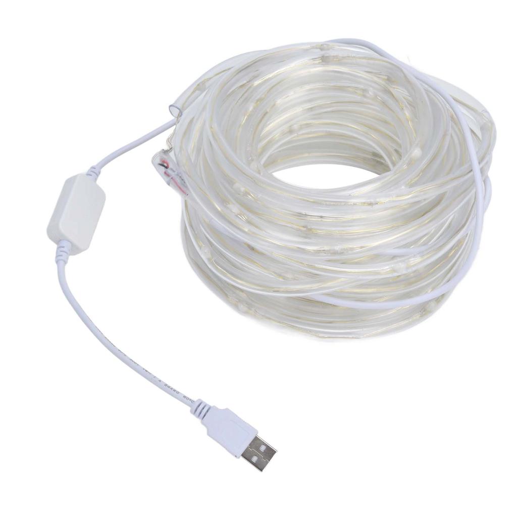 RGBW 100LED Rope Lights USB Powered Music Sync String Light APP Bluetooth Control IP45 Waterproof