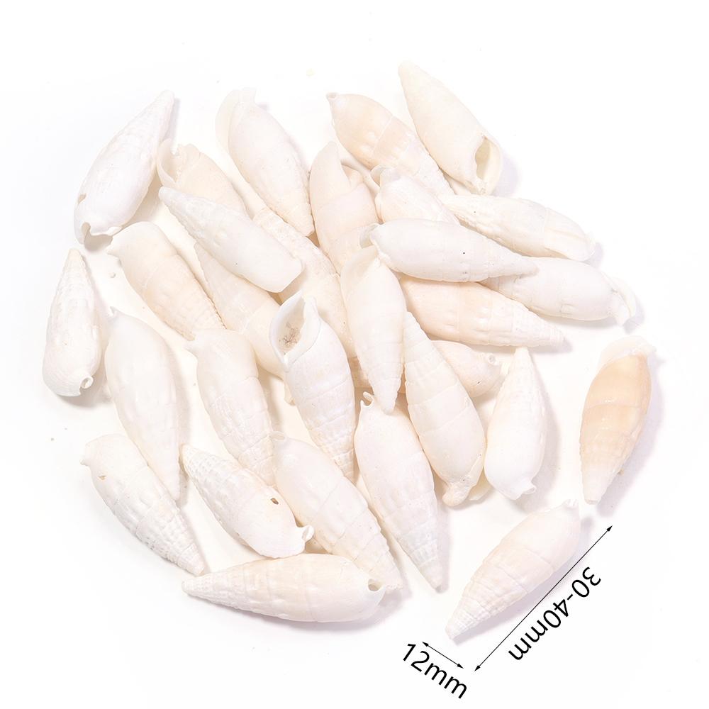 40g/bag Sea Shell Beads Tiny Conch Beads Undrilled Natural Shell Beads For Jewelry Making DIY Crafts Ornament Home Decoration
