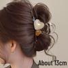 Elegante Schwarze Strass-Haarklammer - Großes High-End-Accessoire