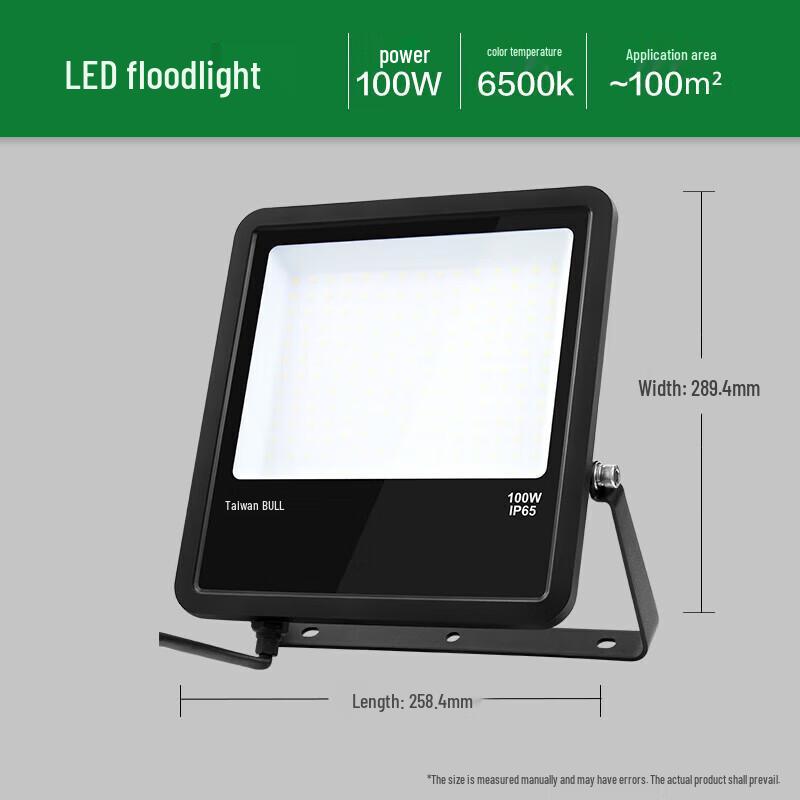 BULL 100W 6500K IP65 Outdoor Floodlight