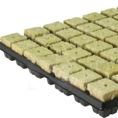 Cubos Iniciais de Cultivo Leves Adequados para Todas as Plantas Tamanho 25x25x40mm