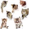 TATOTTE Cat Wall 3D Cat Trick Cute Set of 7 Stickers, Decals, Design, Art, Kitten, Cutout,