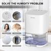 Air Dehumidifier Portable Mute Moisture Absorbers Machine Air Dryer For Home Bedroom Office Kitchen Deodorizer Dryer