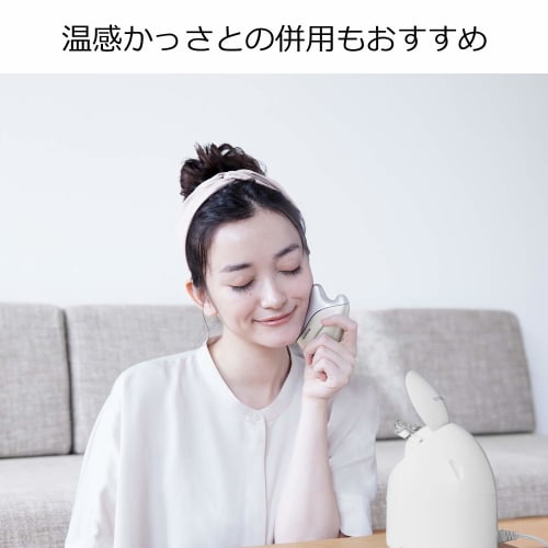 Panasonic Steamer Nano Care Compact Type Gold Tone EH-SA3B-N