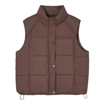 Down Cotton Vest Women's Autumn and Winter New Korean Style Loose Cotton Waistcoat Solid Color Vest Jacket