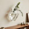 Irregular Shape Hydroponic Vase Wall Mounted Plant Container Glass Vase  Living Room