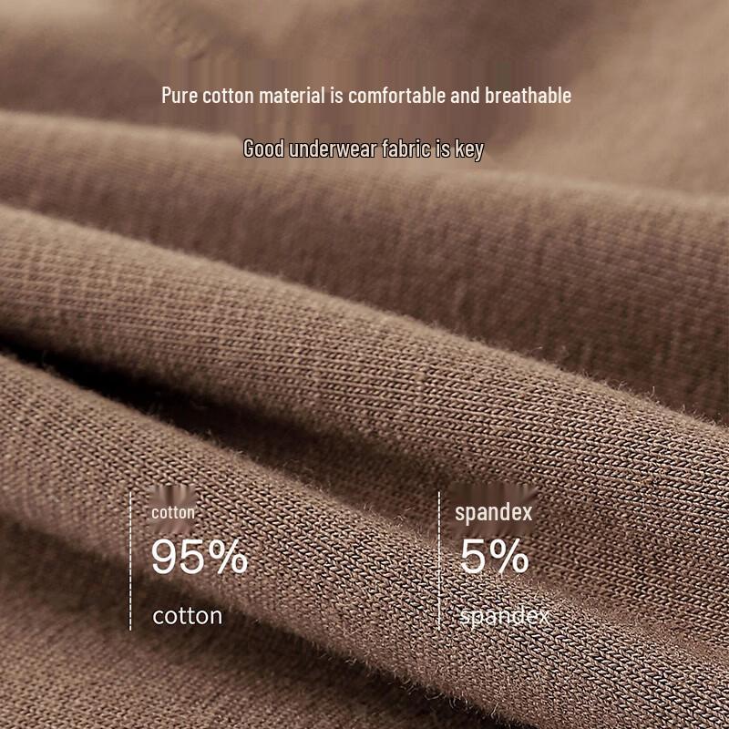 YOUNGYELL Women's High-Waist 10A Antibacterial Pure Cotton Leak-Proof Period Panties 3-Pack