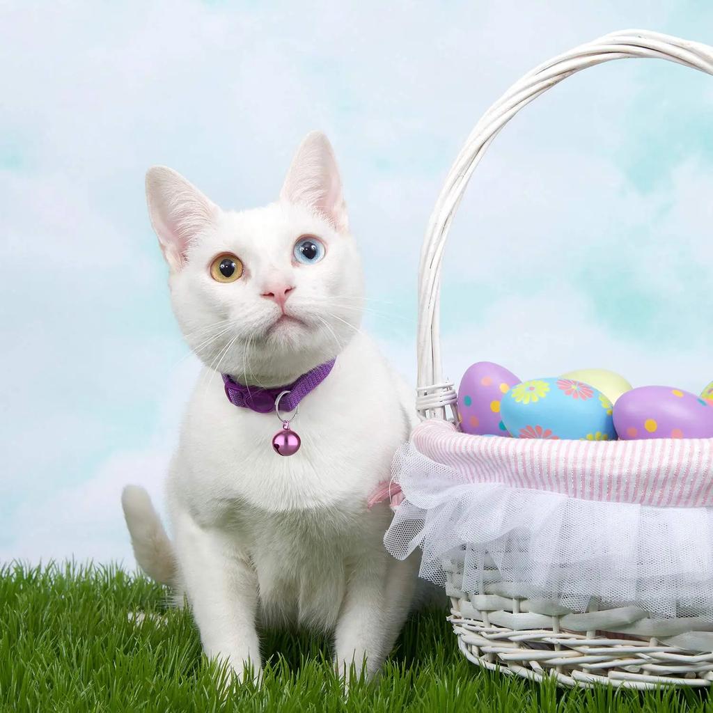 24 Cat Bells Suitable for Cat and Dog Collars, Loud Pendant for Pets, Cat and Dog Bells, Pet Pendant Accessories