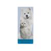 Brosse et Peigne à Crêpe - TRIXIE - 6 × 23 cm - Double Face - Poils Nylon et Métal - Pour Chien