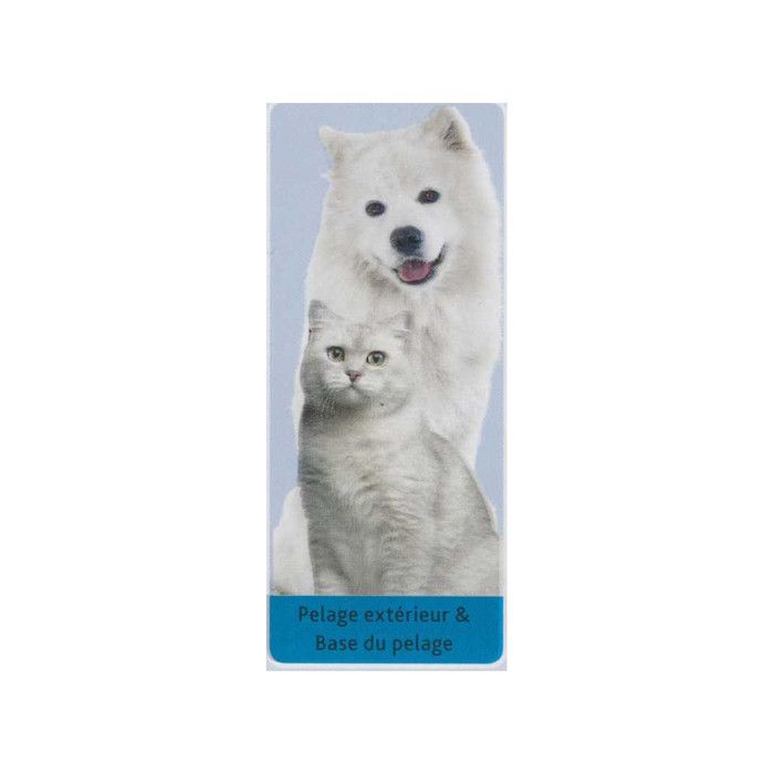 Brosse et Peigne à Crêpe - TRIXIE - 6 × 23 cm - Double Face - Poils Nylon et Métal - Pour Chien