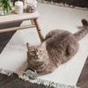 Cats Automatic Toy Cats Interactive Toy Teasing Mouse Fun Exercise Toy for Indoor Felines Play Exercise Toy