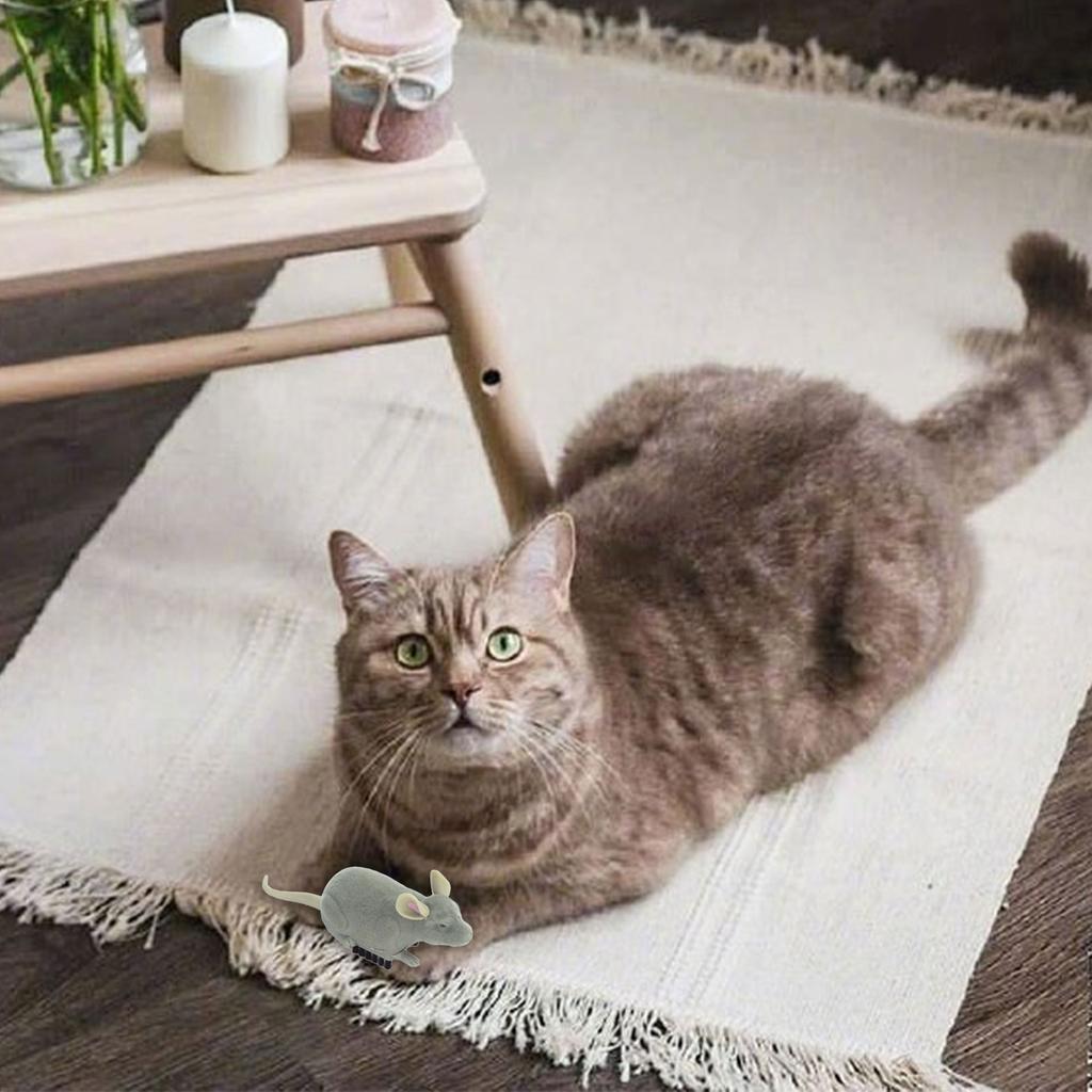 Cats Automatic Toy Cats Interactive Toy Teasing Mouse Fun Exercise Toy for Indoor Felines Play Exercise Toy