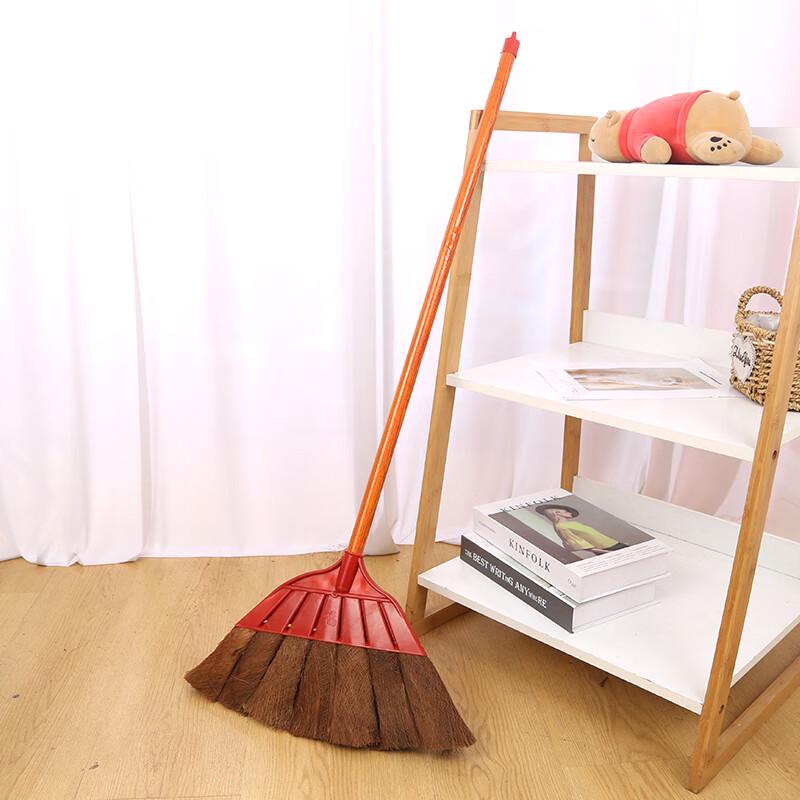Palm Fiber Broom