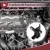 Crankshaft Position Sensor for Ford Escape 25 2009- No5M6Z6C315A 1 Pc