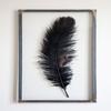 10Pcs 15-20cm Ostrich Feathers Plume Craft Centerpiece Wedding Party Decor Black