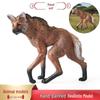 South American Gray Wolf Children's Cognitive Toy & Desktop Ornament