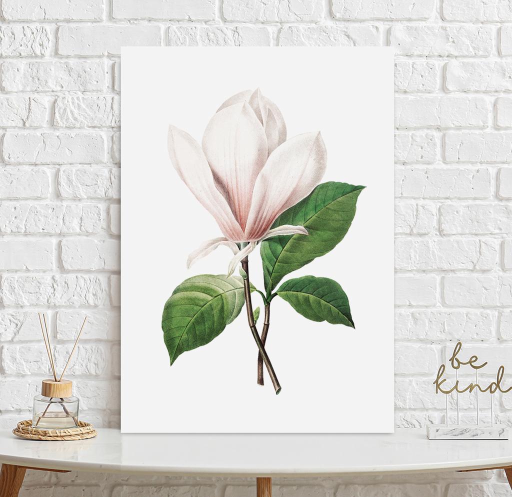 Plakat kwiat magnolia retro vintage