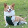 Waterproof Corgi Belly Pocket Summer Dog Going Out Anti-dirty Smock Belly Coat Solid Color Pet Saliva Towel