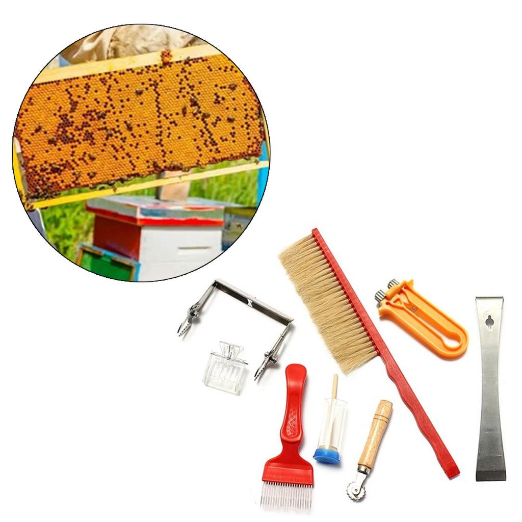 Biodlingsmaterial Biodling Startkit Biodlingsmaterial Biodlingskupor Verktyg Biodlingsverktyg för Nybörjare