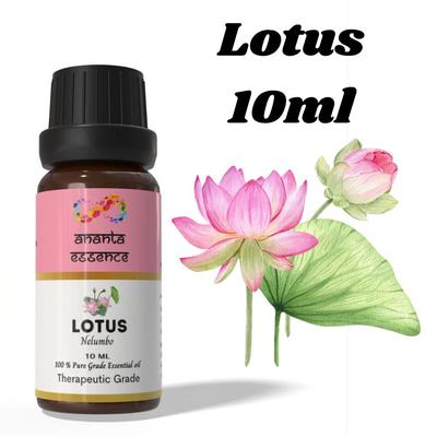 Ananta Lotus Essential Oil 10 Ml – Floral Aquatic Aroma Oil for Diffusers, Candles and Home Fragrance