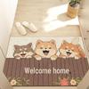 Kreskówkowy antypoślizgowy jedwabny wycieraczka powitalna: Cięta, Duża Mata do Usuwania Kurzu przy Wejściu