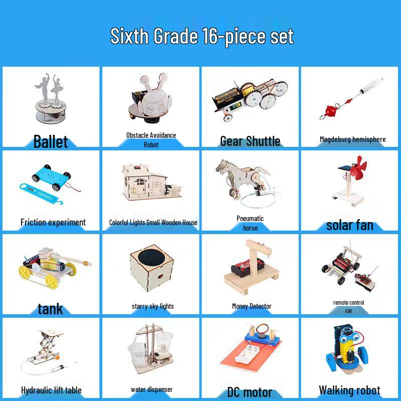 Elementary Science Experiment Wooden DIY Kit - Educational Toys