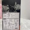 One Piece Ichiban Kuji Ha no Yakudo Portgas D Ace Prize Figure