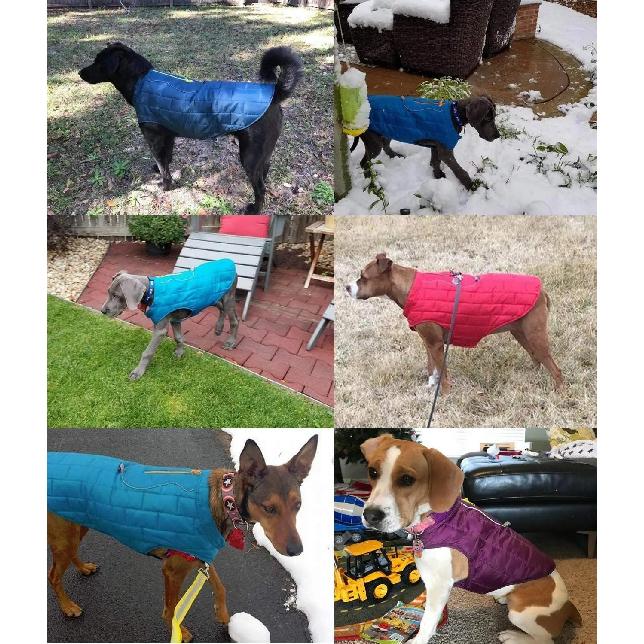 Warm Winter Dog Jacket Reversible Waterproof Dog Coat for Cold Weather Water-Resistant Pet Vest with Reflective Trim Dog Clothes