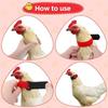 Supplies Poultry Neck Noise Free Neckband Collars Chicken Collar Anti-Hook No Crow Rooster Collar