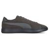 Puma Smash V2 L CN Leather Low-Top Sneakers Unisex Sneakers Gray Gold 391840-01