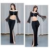 Professional Belly Dance Costume Set With Crop Tops Pants And And Hip Scarf For Stage Performances And Practice