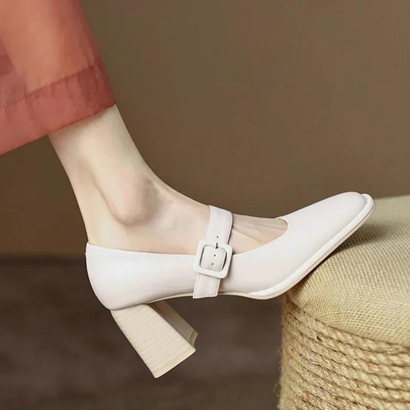 Vintage Brown Single Shoe Women's 2025 New Shallow Slip-on High Heel Shoe Thick Heel Mary Jane Woman's Summer Flat