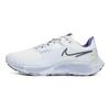 Nike  Air Zoom Pegasus 38 Shield Deep Freeze Women Sneakers Grey Summit-White Thunder-Blue DO2341-144