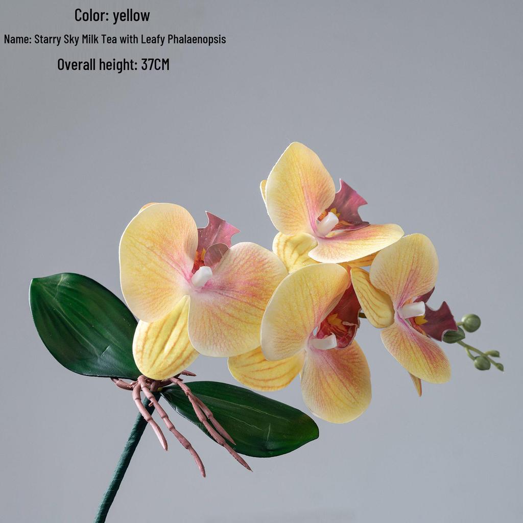 Starry Sky Milk Tea Phalaenopsis Orchid with Leaves - INS Style Faux Flower for Home Decor and Weddings