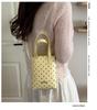 Trendy 2026 Summer Korean Polka Dot Crossbody & Shoulder Bag