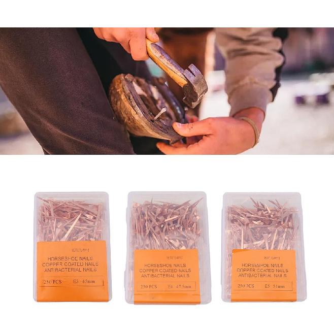 

BORDSTRACT 250 шт. Гвозди для подков, Медное покрытие, Гвозди для ковки с пластиковой коробкой, Гвозди для подков с медным покрытием, Снаряжение для верховой езды, для