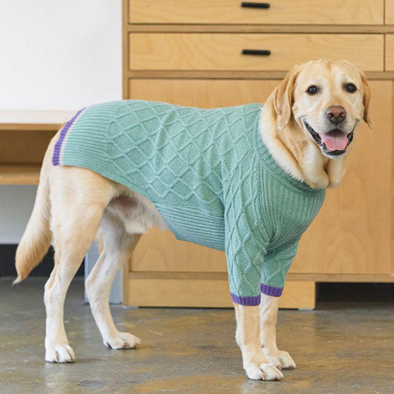 MUNIKUND Gugu Cashmere Knit - Mint