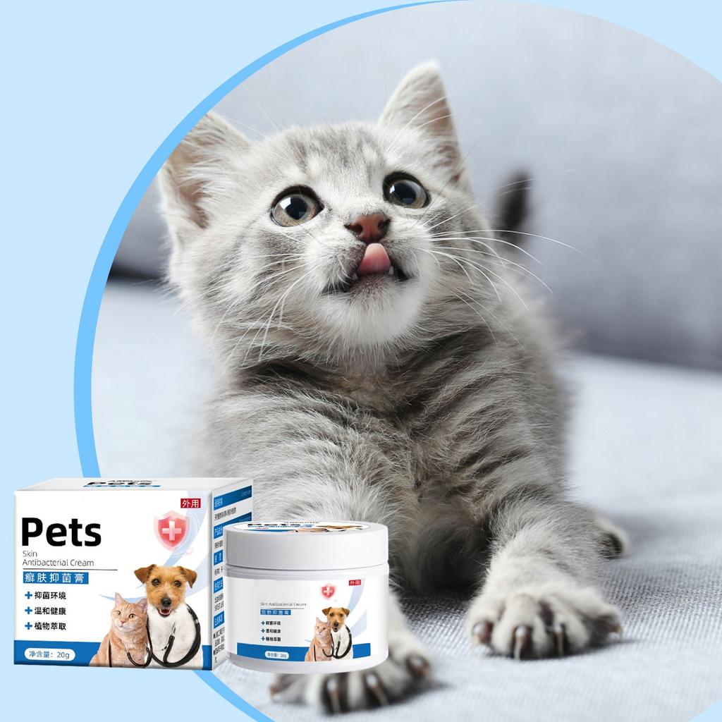 Ntensive Ointment, Ultimate Skin Relief For Dogs & Cats, Itchy Skin, Scratching, Dry & Irritated Skin, Cracked , Care & After-, Korean Pet Skincar