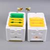 Queen Bee Breeding Box Bee Mating Box Foam Bee Hive Box Beekeeper Garden Pollination Breeding Case Beekeeping Equipment