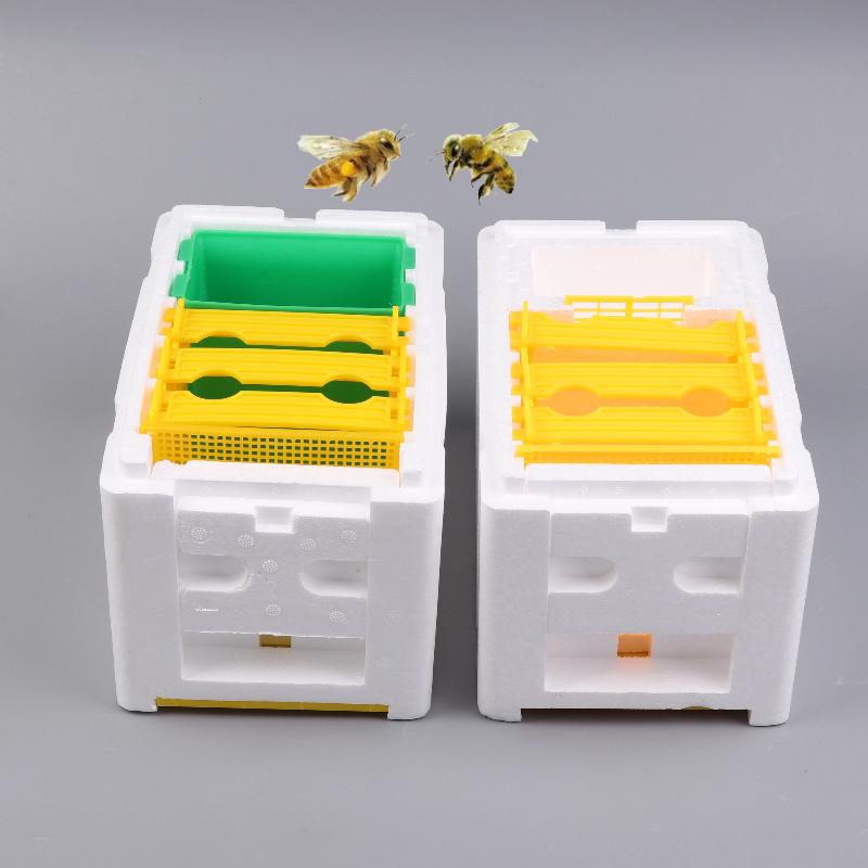 Queen Bee Breeding Box Bee Mating Box Foam Bee Hive Box Beekeeper Garden Pollination Breeding Case Beekeeping Equipment