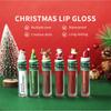 Single Piece Christmas Lipstick Set Liquid Lip Gloss for Women Girls Holiday Party Makeup Gifts Stocking Stuffers Small Present