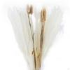 30-Piece Handpicked Dried Grass Bundle - Decor Collection