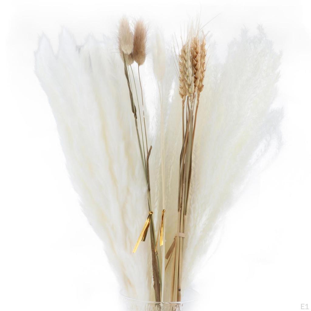 30-Piece Handpicked Dried Grass Bundle - Decor Collection