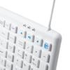 Sanwa Supply SKB-BS7W Keyboard, White, Wired USB Connection, Waterproof and Dustproof