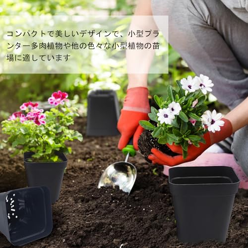 RooTrimmer Sämlingsbehälter, Größe 3, Set mit 40 Stück, Verhindert Wurzelfäule, Geeignet für Sukkulenten, PP-Kunststofftöpfe mit Schlitzdrainage, Wiederverwendbar, Mattes Finish, 9