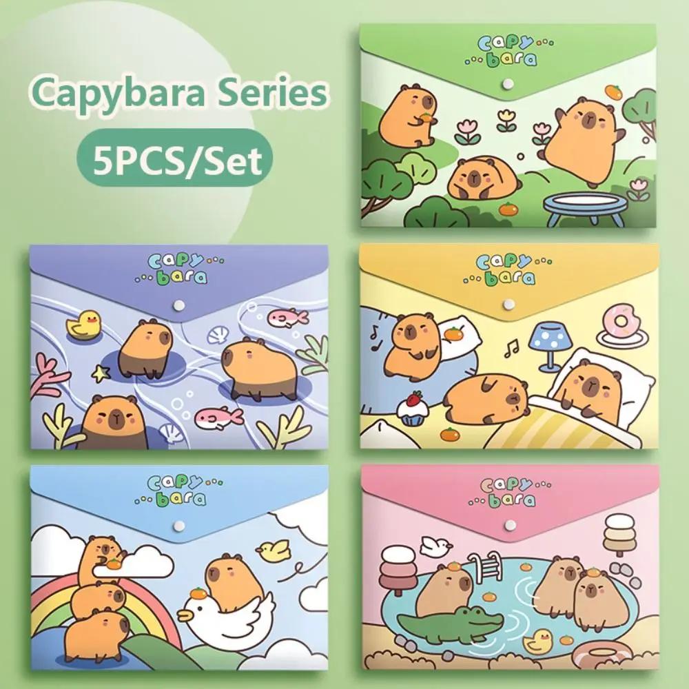 5 Stück/Set Großes Fassungsvermögen A4 Aktenordner Testpapieraufbewahrung Wasserdichte Dokumententasche PP Druckknopf-Umschlagmappe