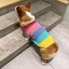 Corgi Dog Clothes Pet Rainbow Sweater Small And Medium Dogs Bichon Shiba Inu Fadou Warm Winter