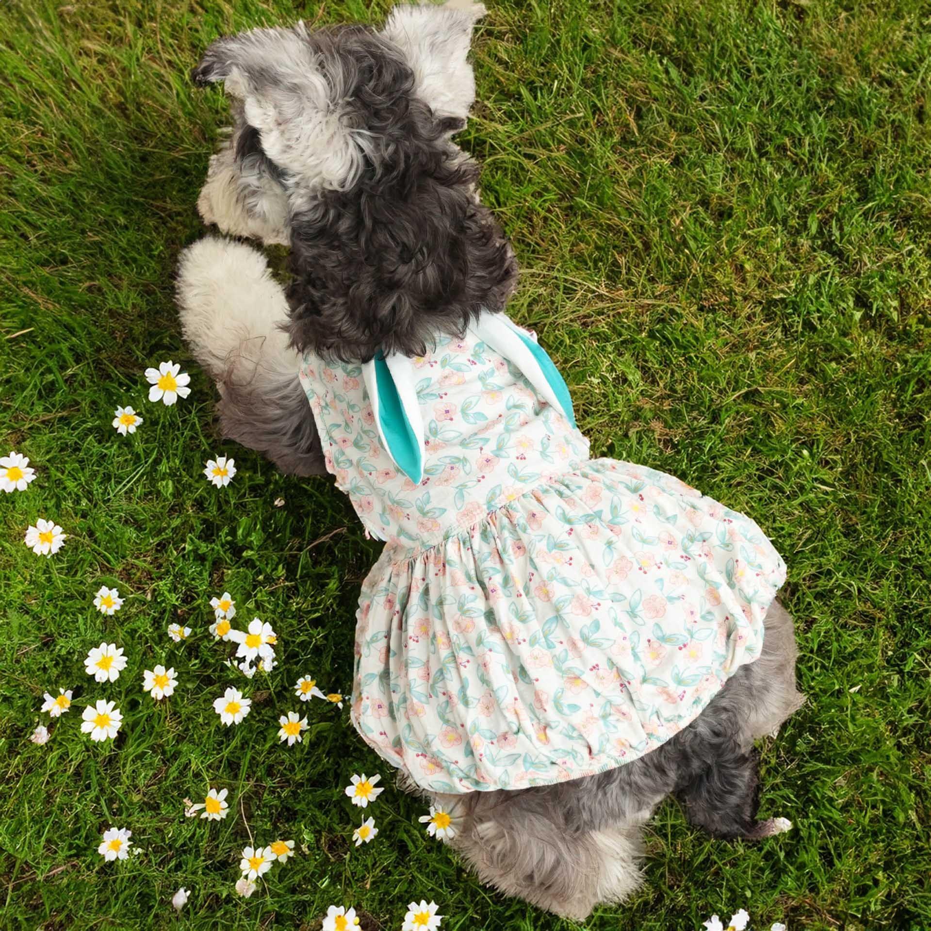 

Pet clothes summer dog skirt summer thin small dog clothing cute princess summer dog processing customization 2XL морська хвиля