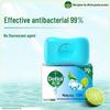 Antiseptic Mint Soap 105g