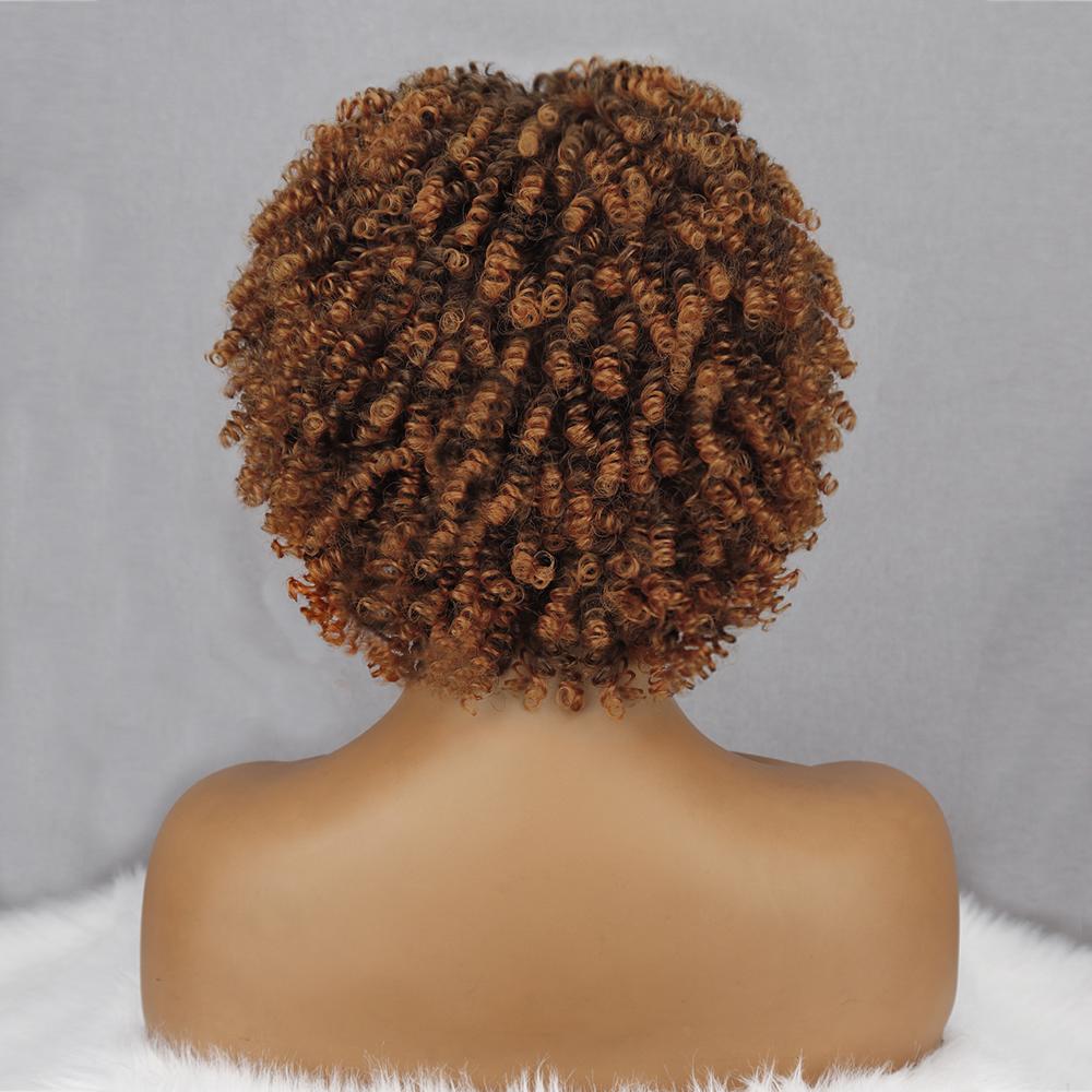 MERISIHAIR Włosy syntetyczne Brązowe Czarne Szare Krótkie peruki z kręconymi włosami dla kobiet Odzież na co dzień Peruki afro z włókna odpornego na wysoką temperaturę